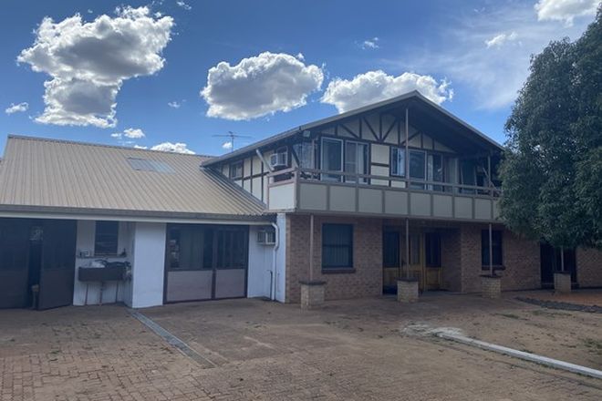 Picture of 21 Floyd Street, COONAMBLE NSW 2829