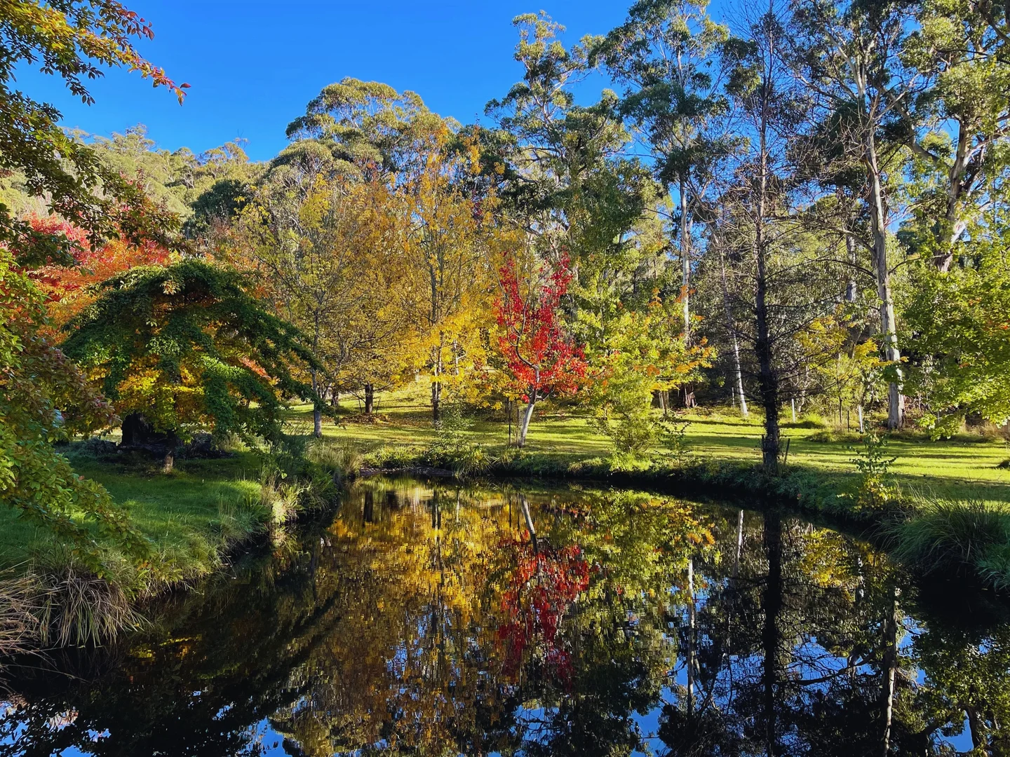 Additional image 6 of 791 Kennedys Road, Yaouk NSW 2629