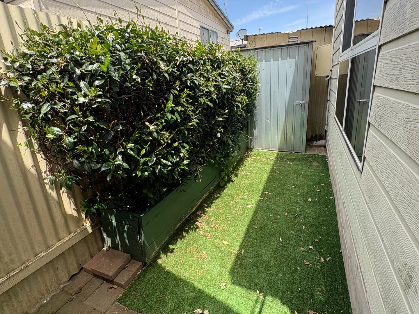 Image 10