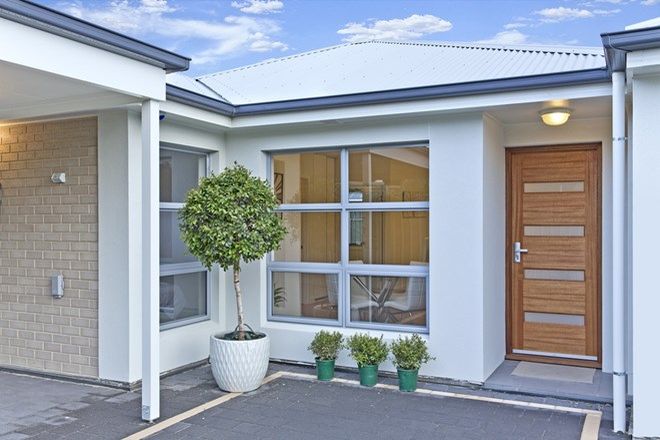 Picture of 22C Wingfield Street, CLOVELLY PARK SA 5042