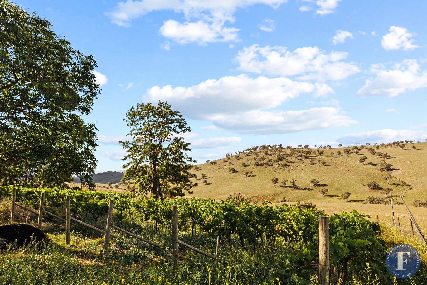 Additional image 27 of 438 Ironbark Lane, Boorowa NSW 2586