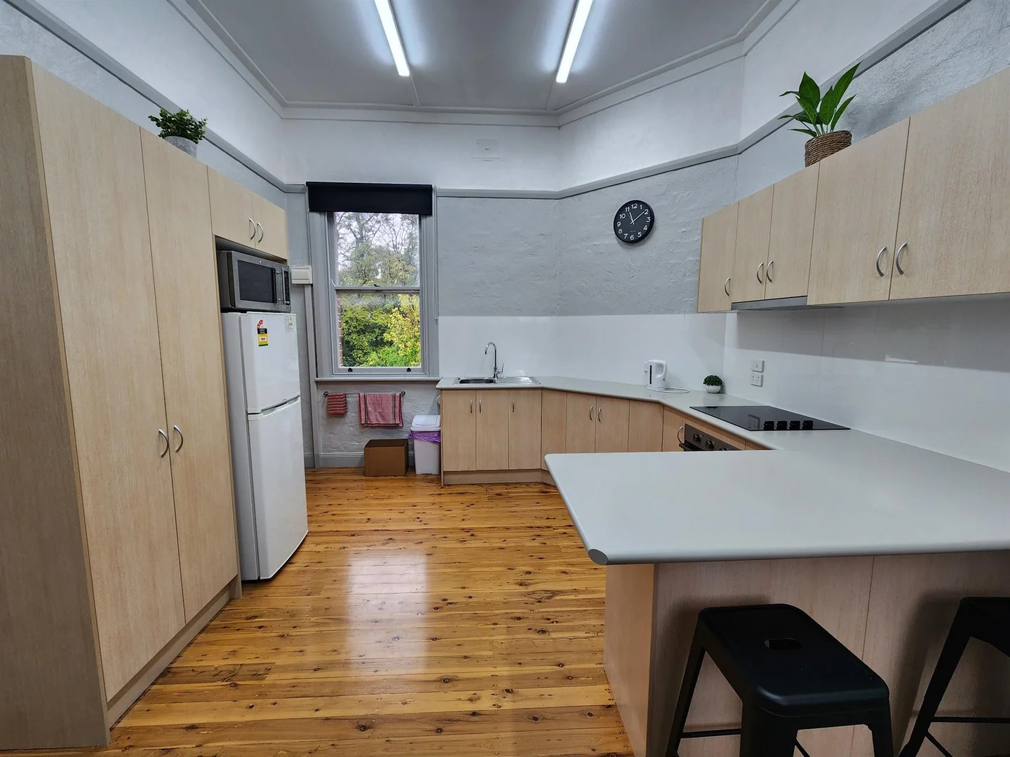 Additional image 5 of Suite 5/55 Bridge Street, Uralla NSW 2358