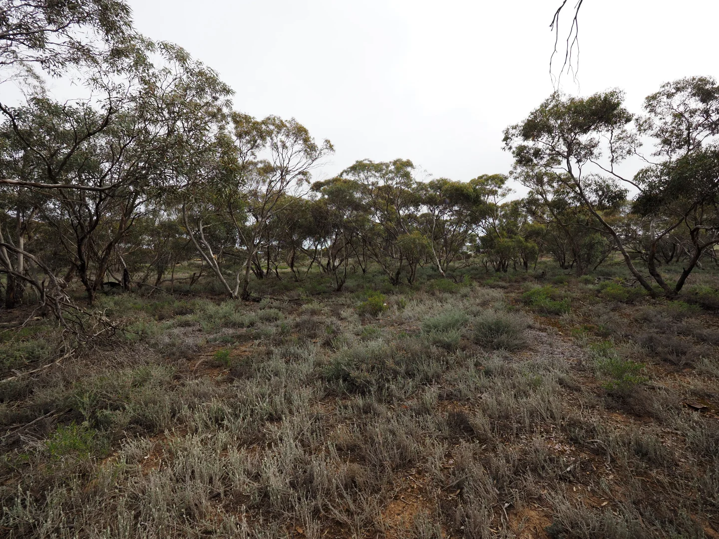 Image 18