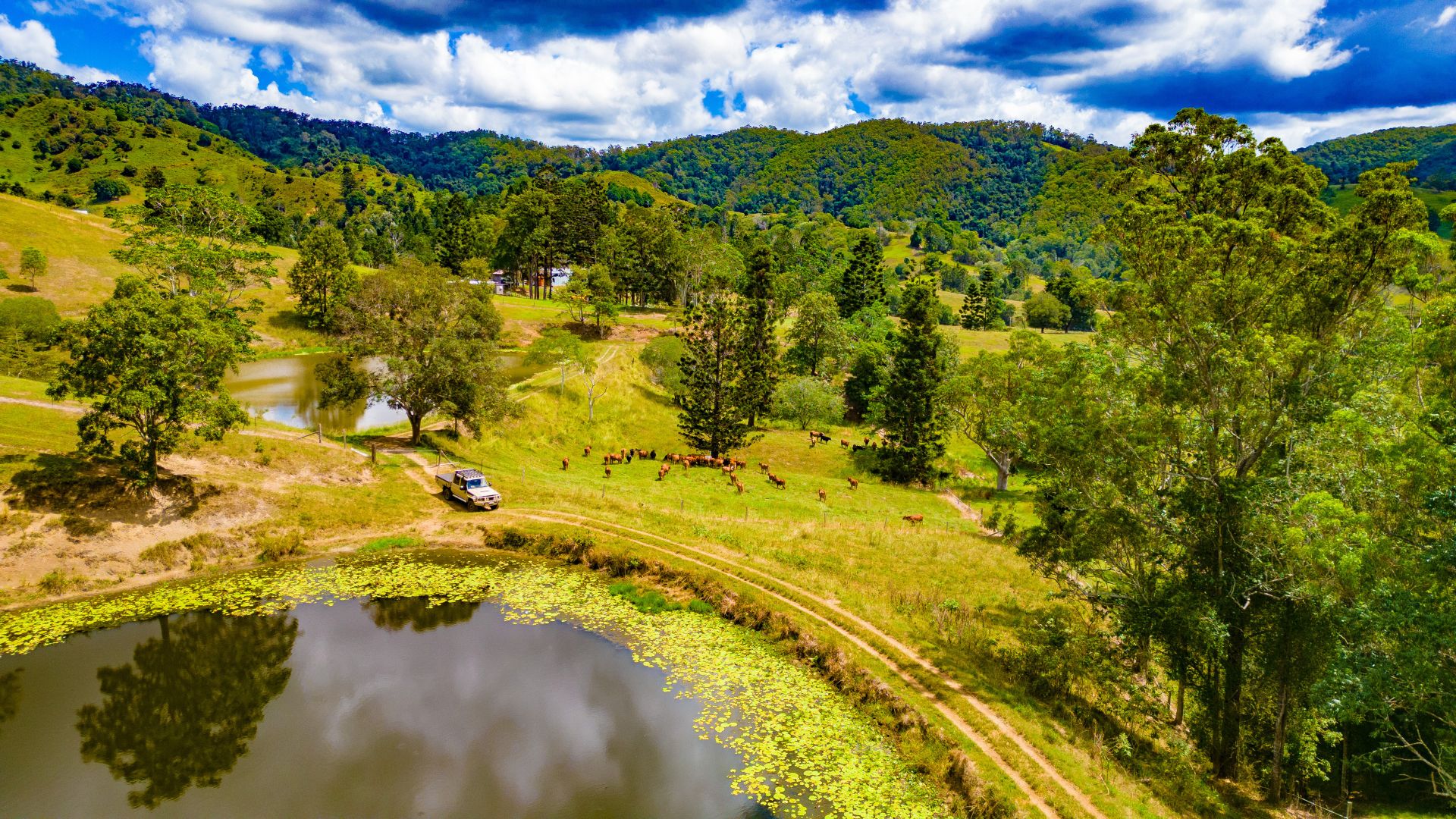 119 Perrys Road, Kidaman Creek QLD 4574 House for Sale Domain