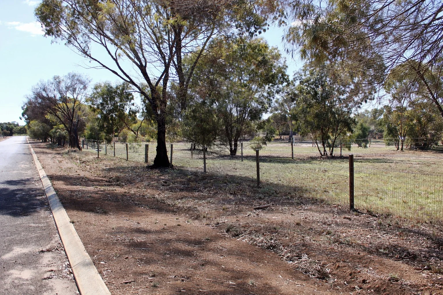 Additional image 2 of 18 COSTELLOE STREET, Wagin WA 6315