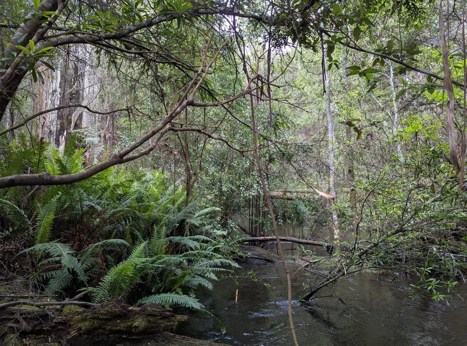 Image 15