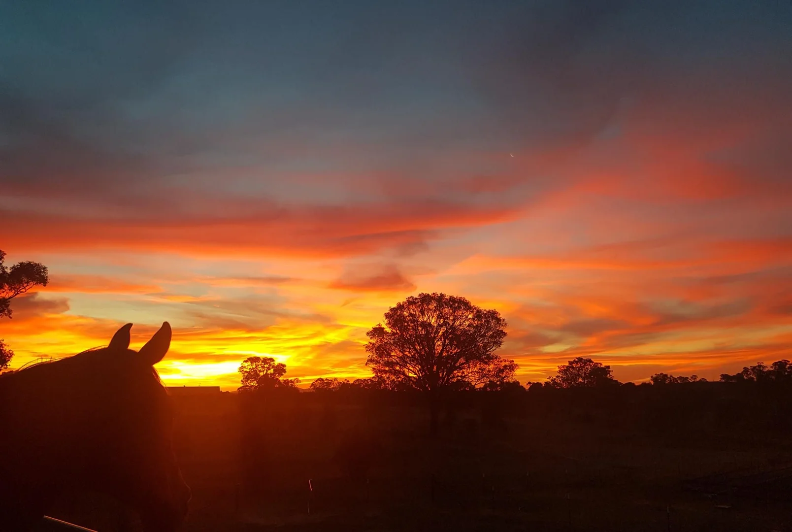 Additional image 25 of 5 STRINGYBARK PLACE, Manton NSW 2582