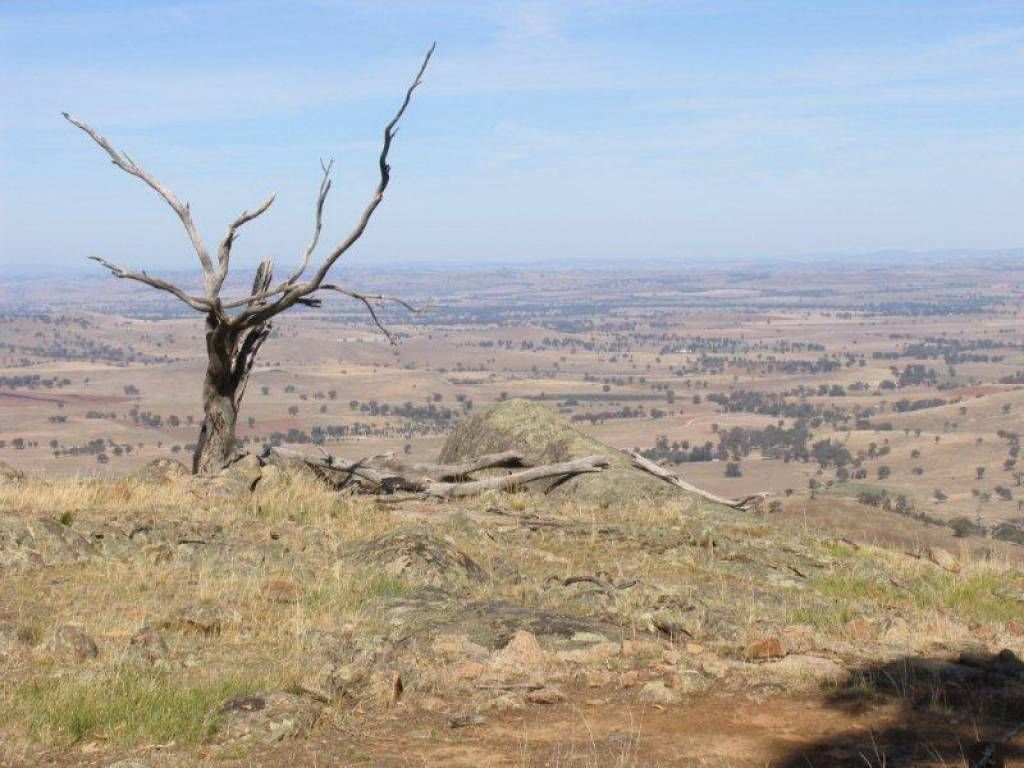 Yammatree Road, Burra Creek NSW 2722, Image 2