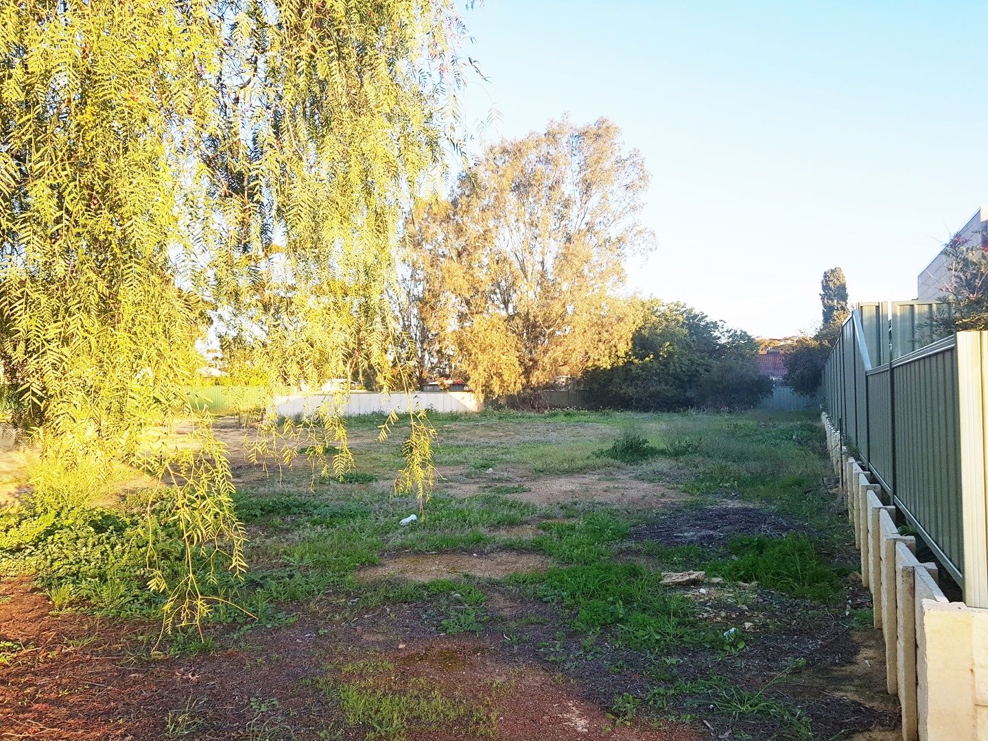 31 Clinch Street, Moora WA 6510, Image 1