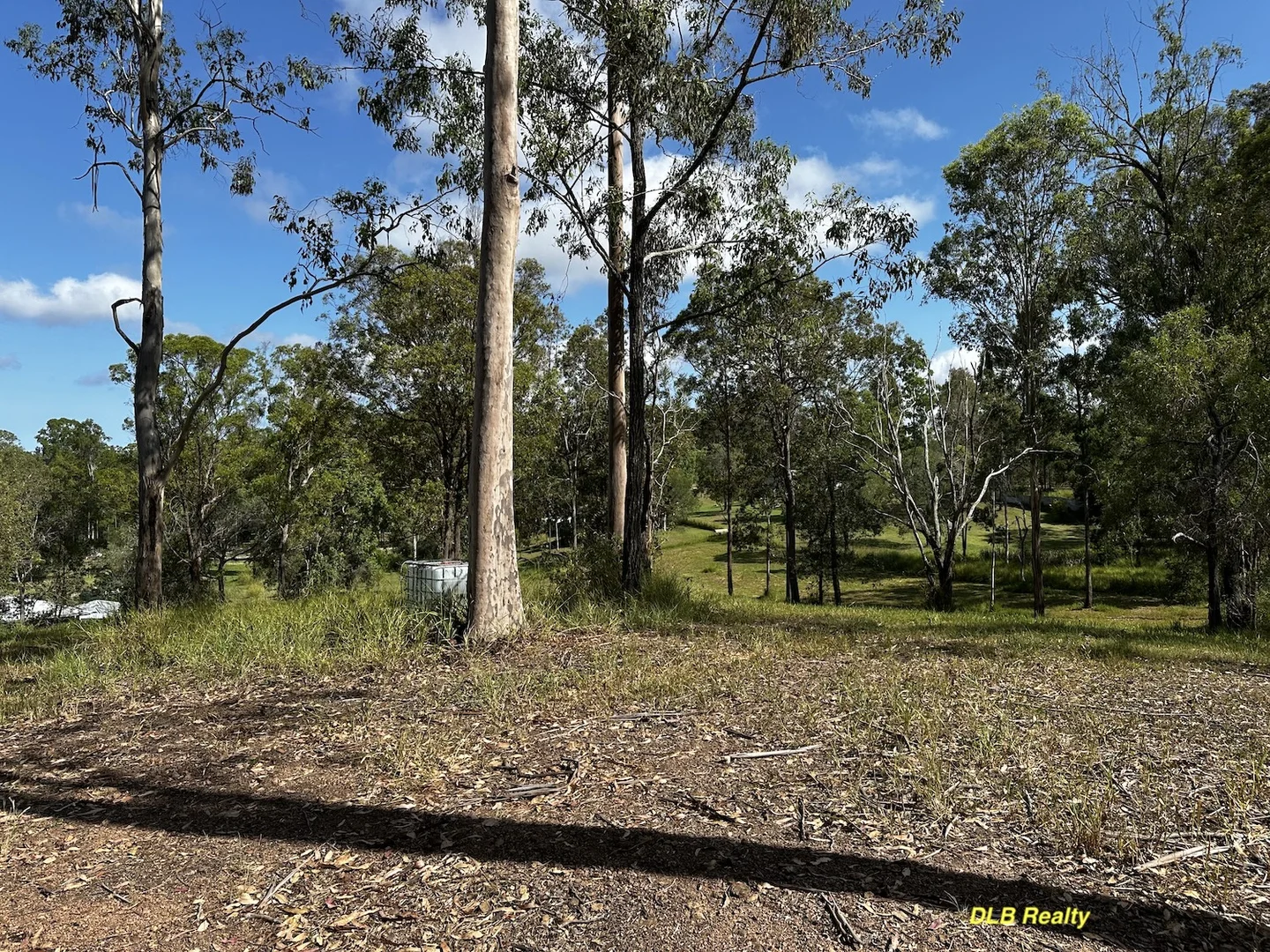 Image 12