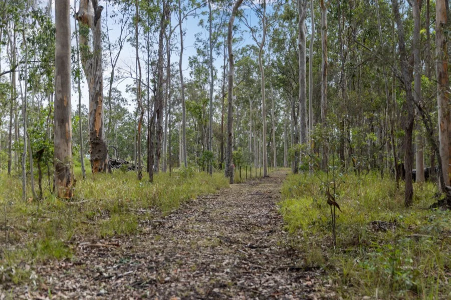 Additional image 14 of 272 Bostock Road, Pillar Valley NSW 2462