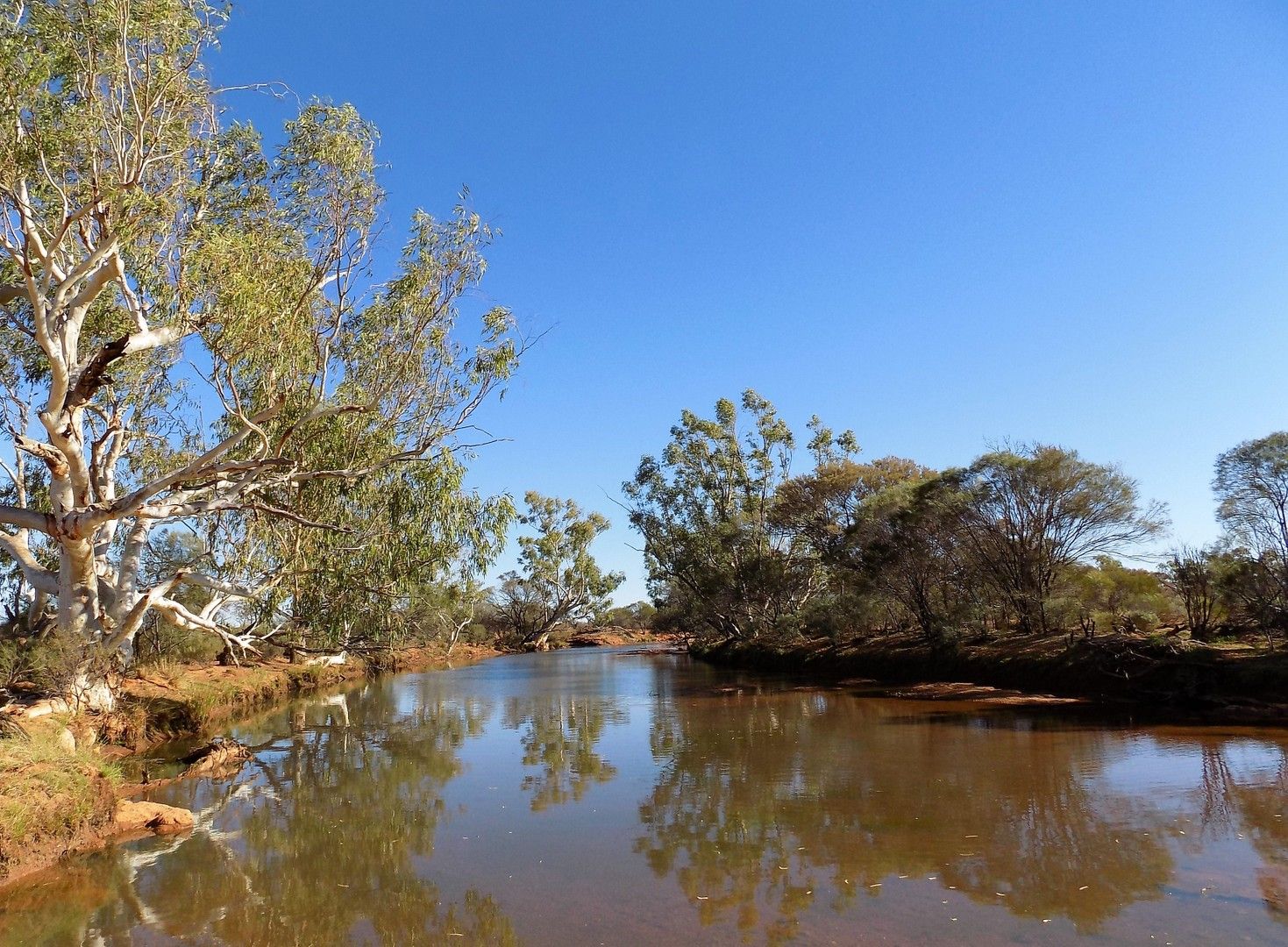 Yoothapina Station, Meekatharra WA 6642, Image 0