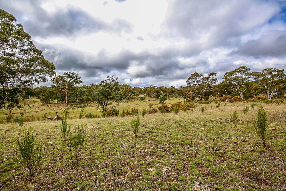 1270 Marked Tree Road, Gundaroo NSW 2620, Image 2