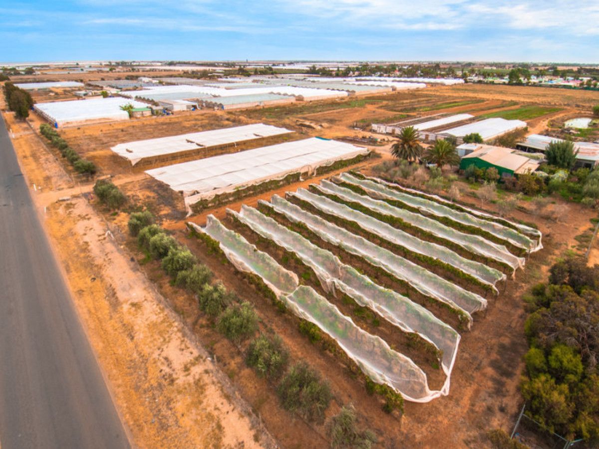 60 Ryan Road, Waterloo Corne | Property History & Address Research | Domain