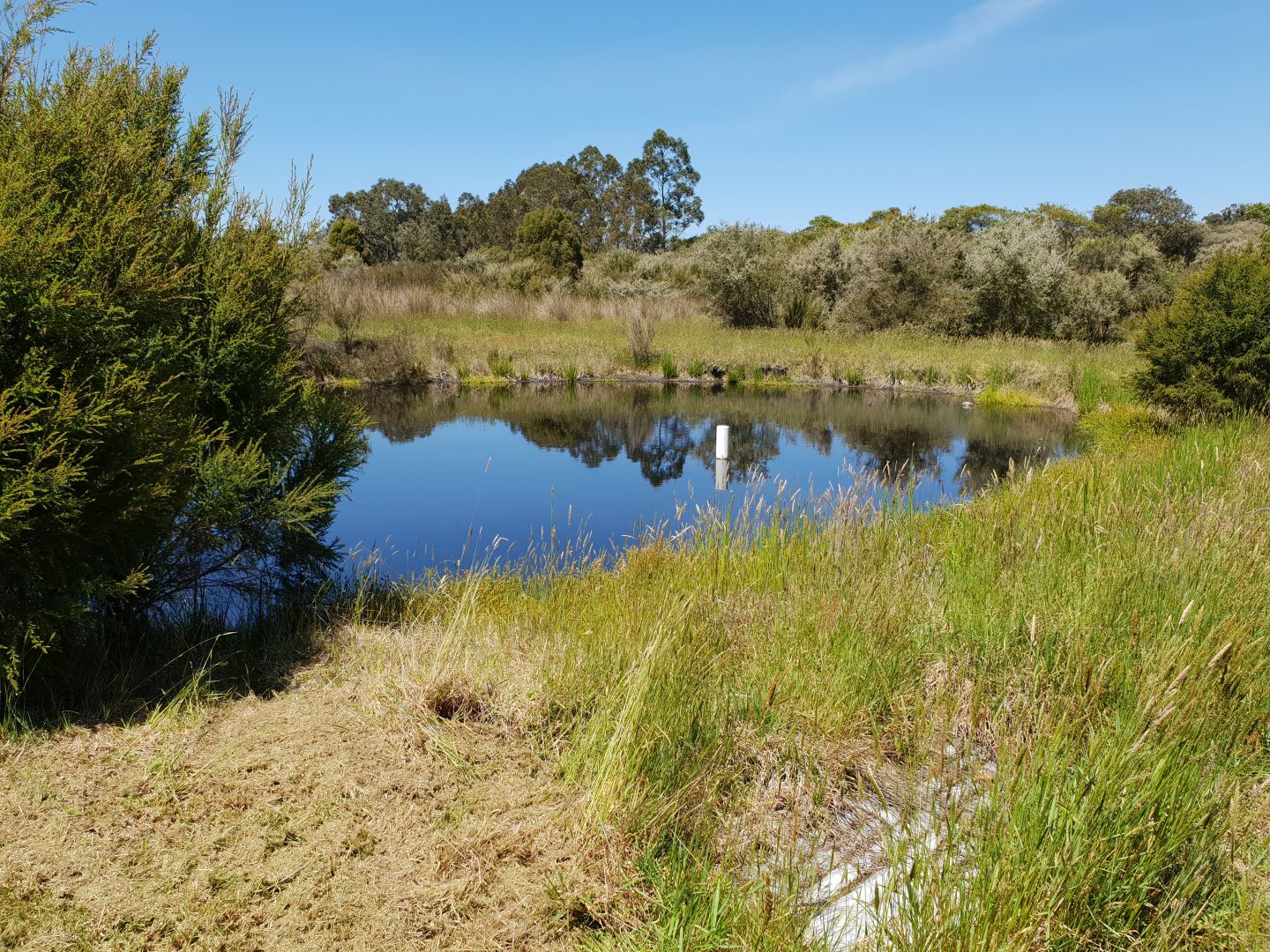 Lot 19 Norna Drive, Northcliffe WA 6262, Image 2