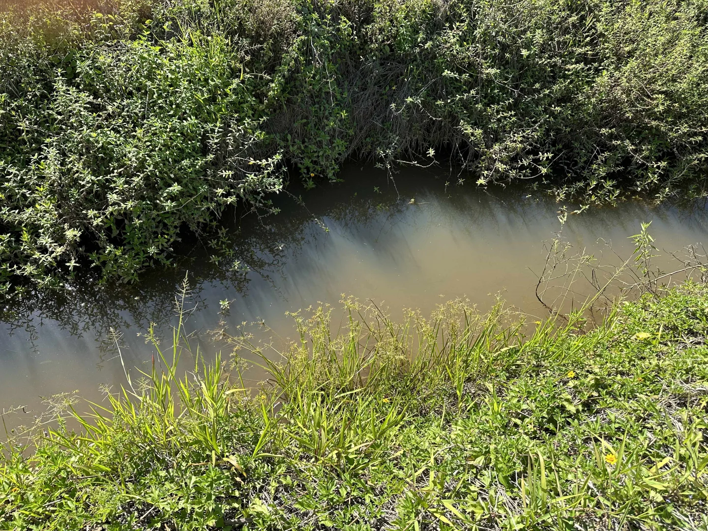 Image 17