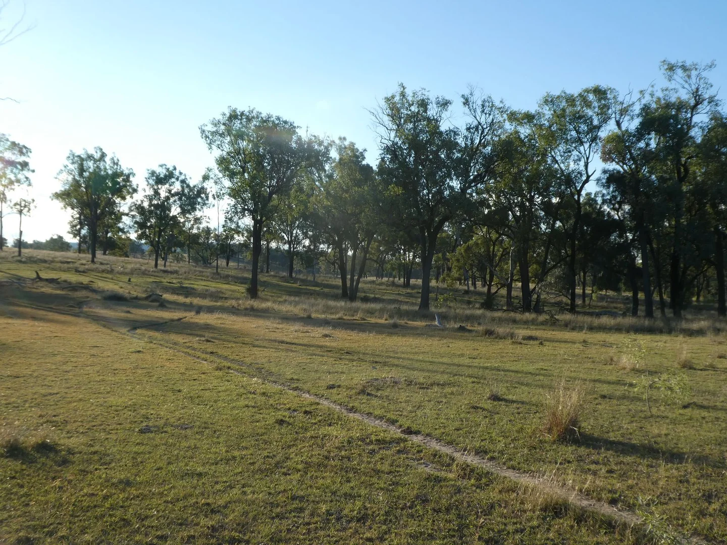 Image 15