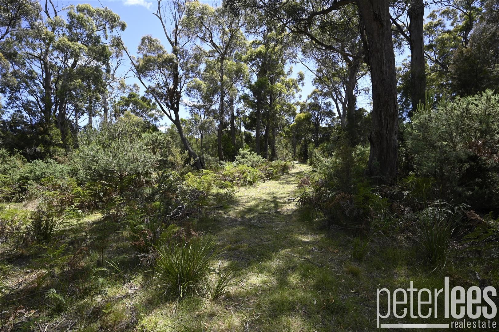 Lot 12 Clarence Point Road, Clarence Point TAS 7270, Image 2