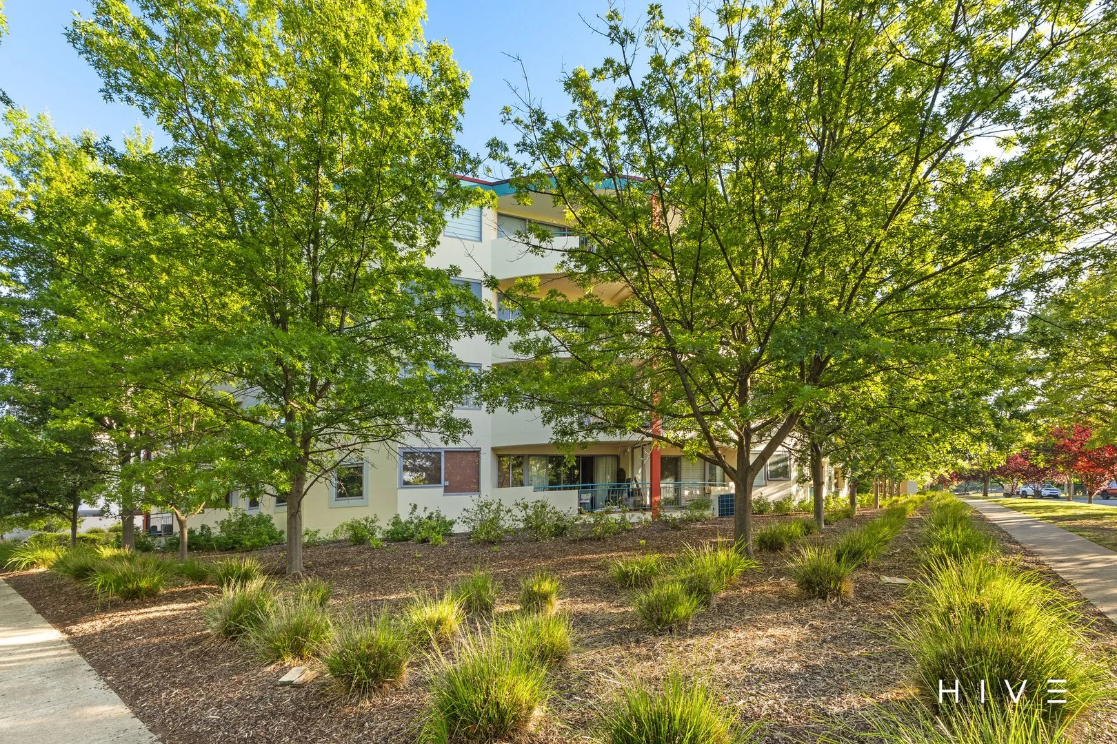 Additional image 14 of 211/107 Canberra Avenue, Griffith ACT 2603