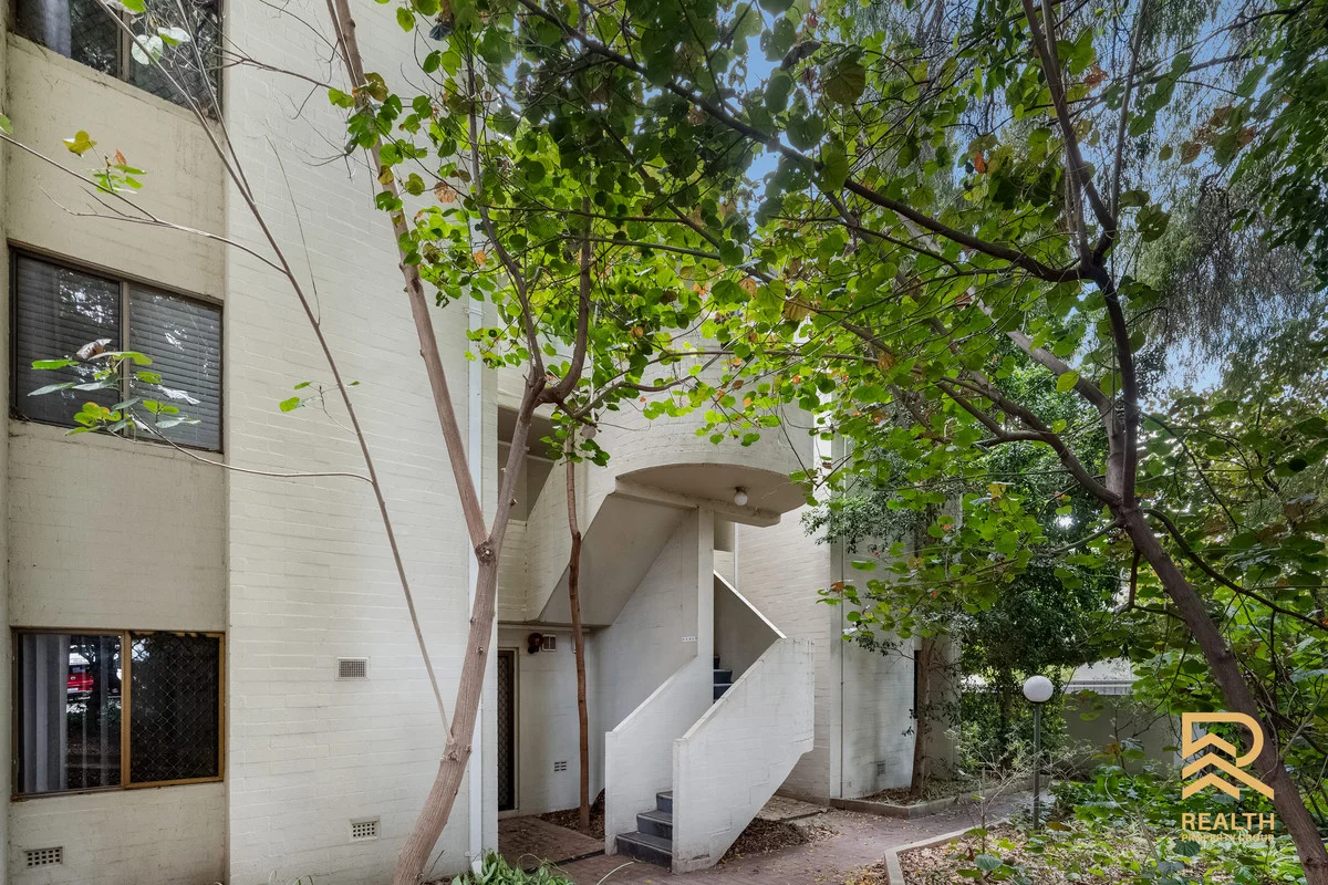 Image 14