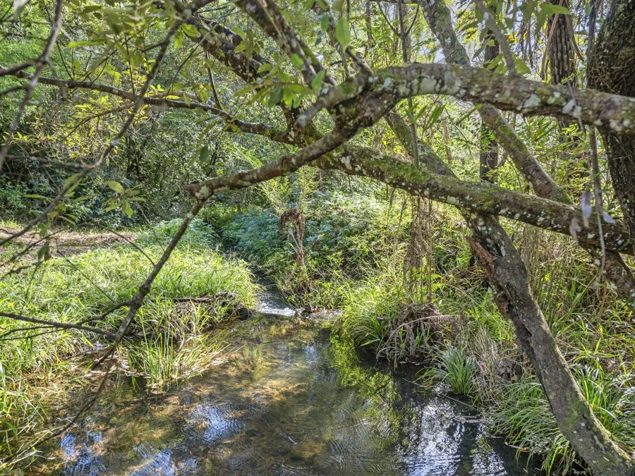 Additional image 24 of 210 Fridays Creek Road, Upper Orara NSW 2450