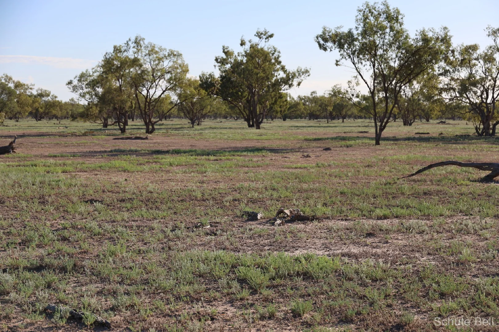 Image 15
