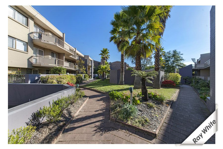 105/10 Currie Crescent, GRIFFITH ACT 2603, Image 0