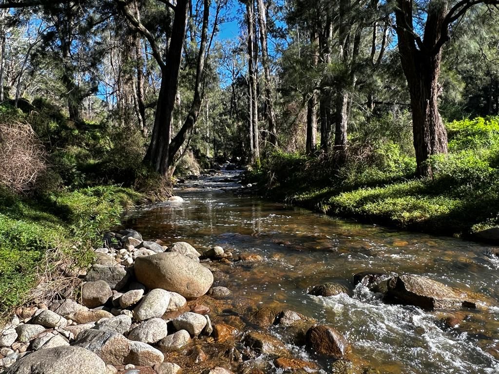 Rural Lifestyle in 100/1118 Neringla Road Neringla Road, ARALUEN NSW, 2622