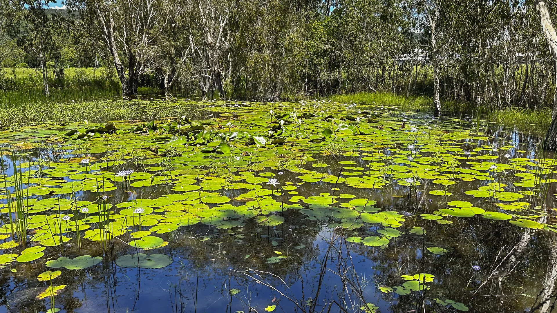 Image 19