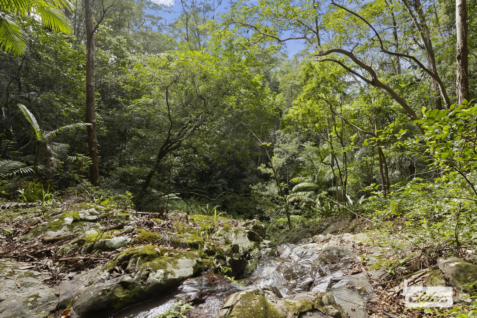 Additional image 7 of 374 Couchy Creek Road, Numinbah NSW 2484