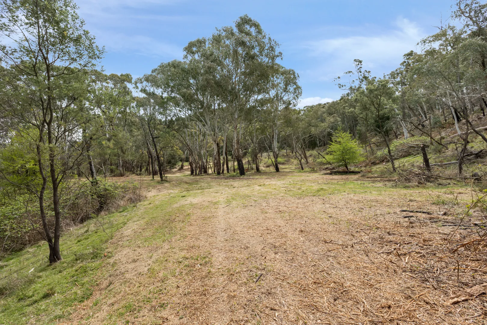 Large Acreage Bush Block - View 6