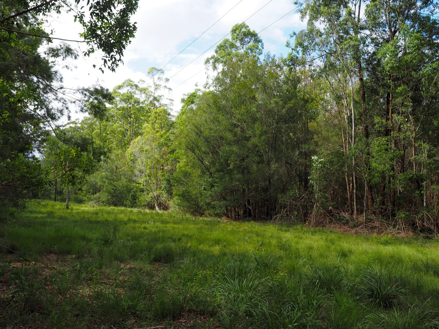 Lot 4 Spooners Avenue, Greenhill NSW 2440, Image 2