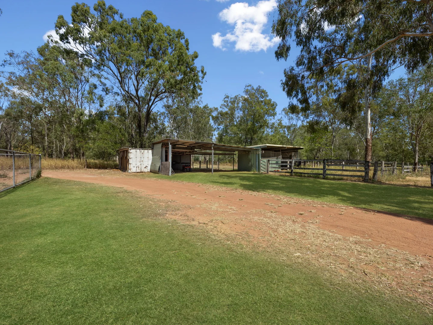 Image 15