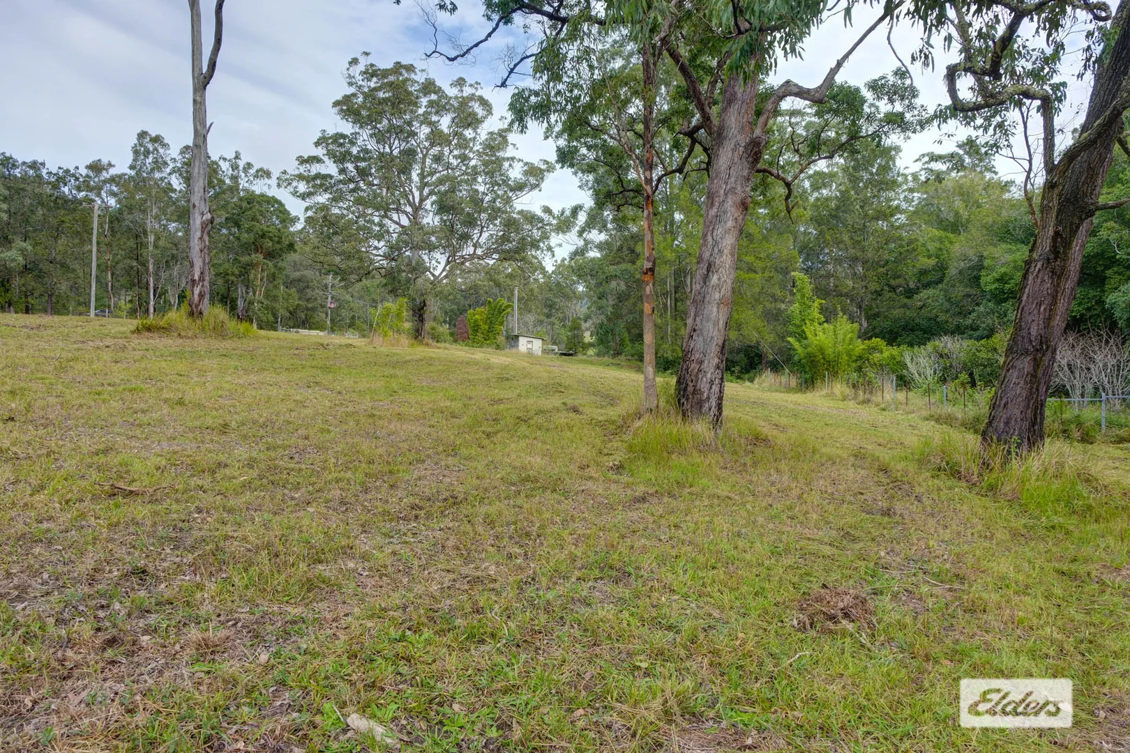 Image 15