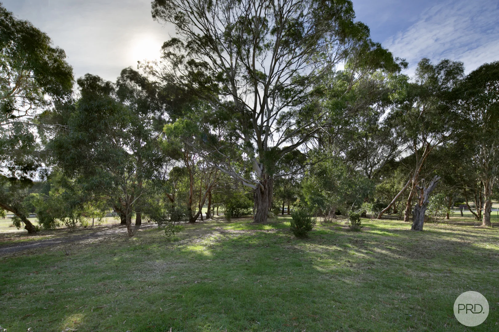 Image 14