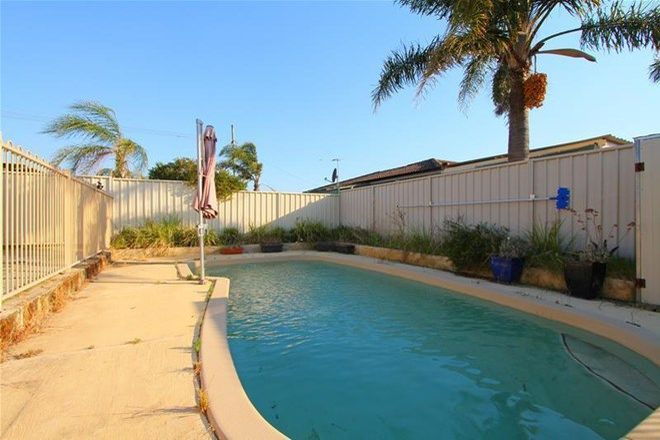 Picture of 109A Ashburton Drive, GOSNELLS WA 6110