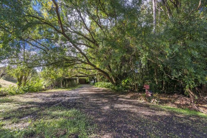 Picture of 2060 Nimbin Road, COFFEE CAMP NSW 2480