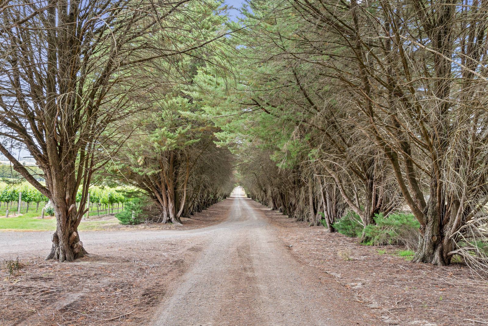 843 Old Toolangi-Dixons Creek Road, Dixons Creek VIC 3775, Image 2