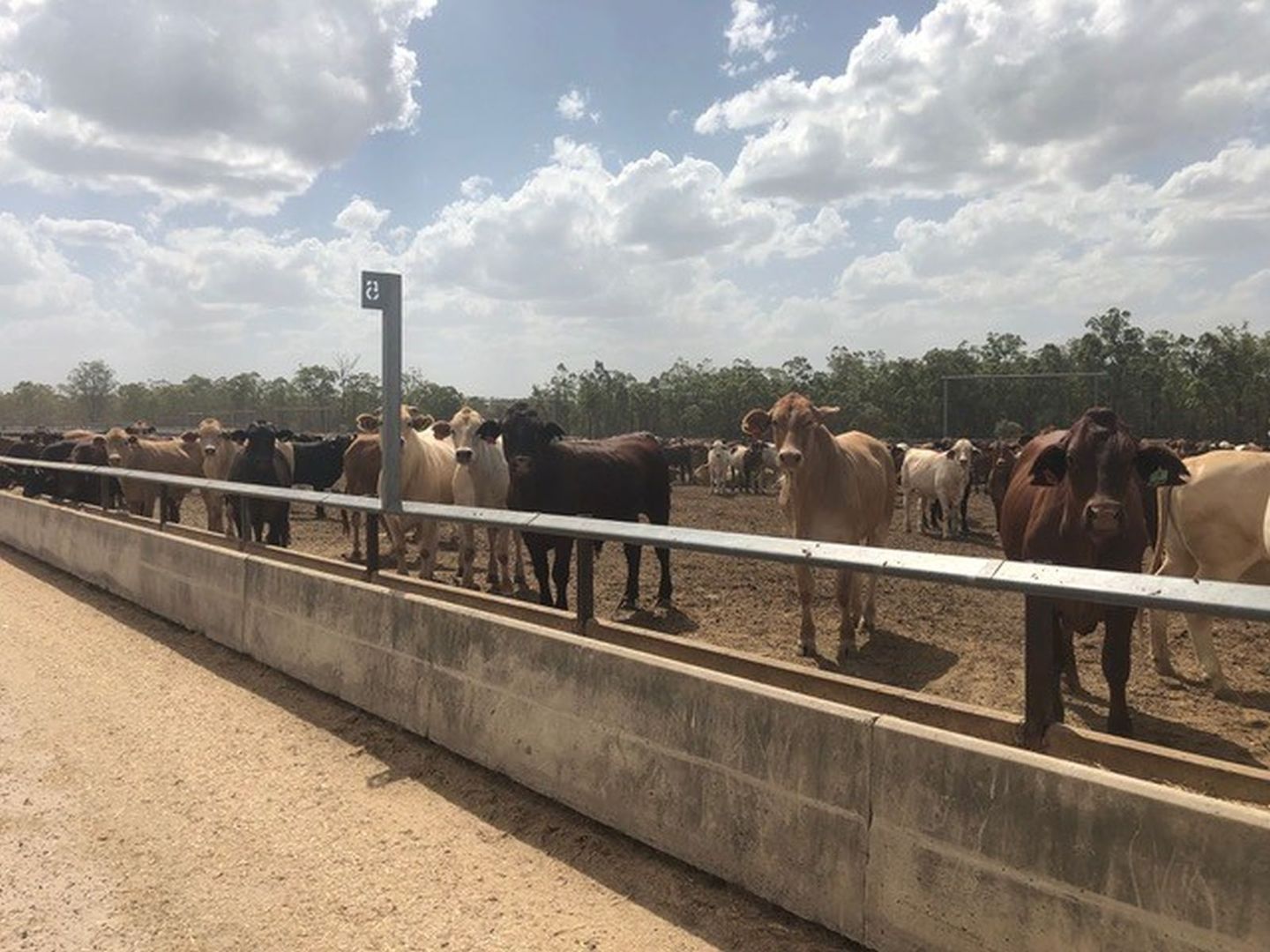 Goondiwindi QLD 4390, Image 1