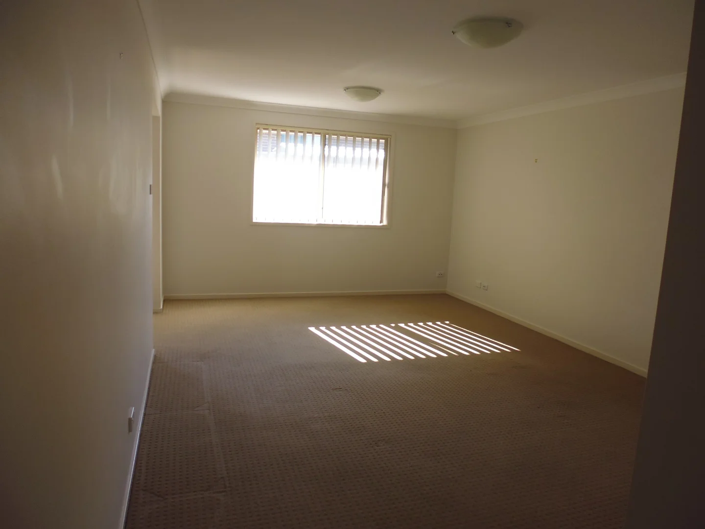 Additional image 3 of 19 Cleveland St, Cameron Park NSW 2285