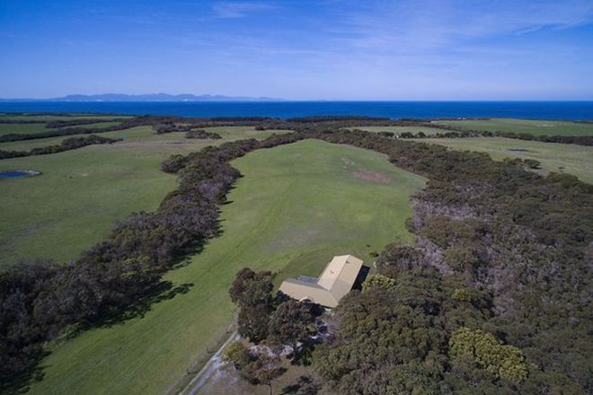 Picture of Lot 1, 325 Bear Gully Road, TARWIN LOWER VIC 3956