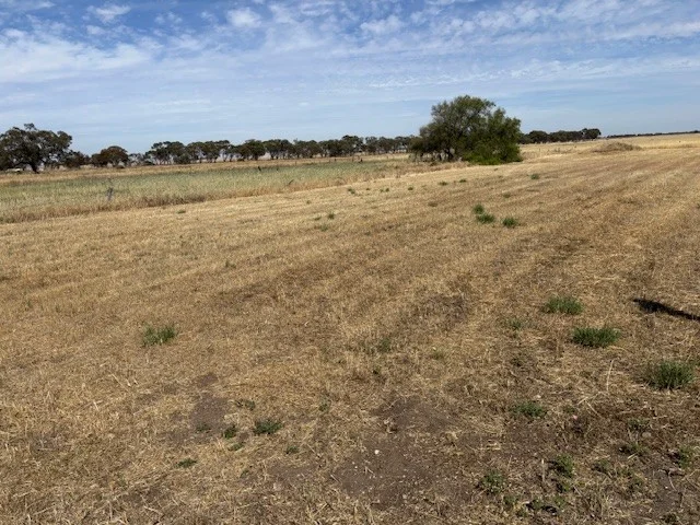 Additional image 7 of 10 Main St, Minyip VIC 3392