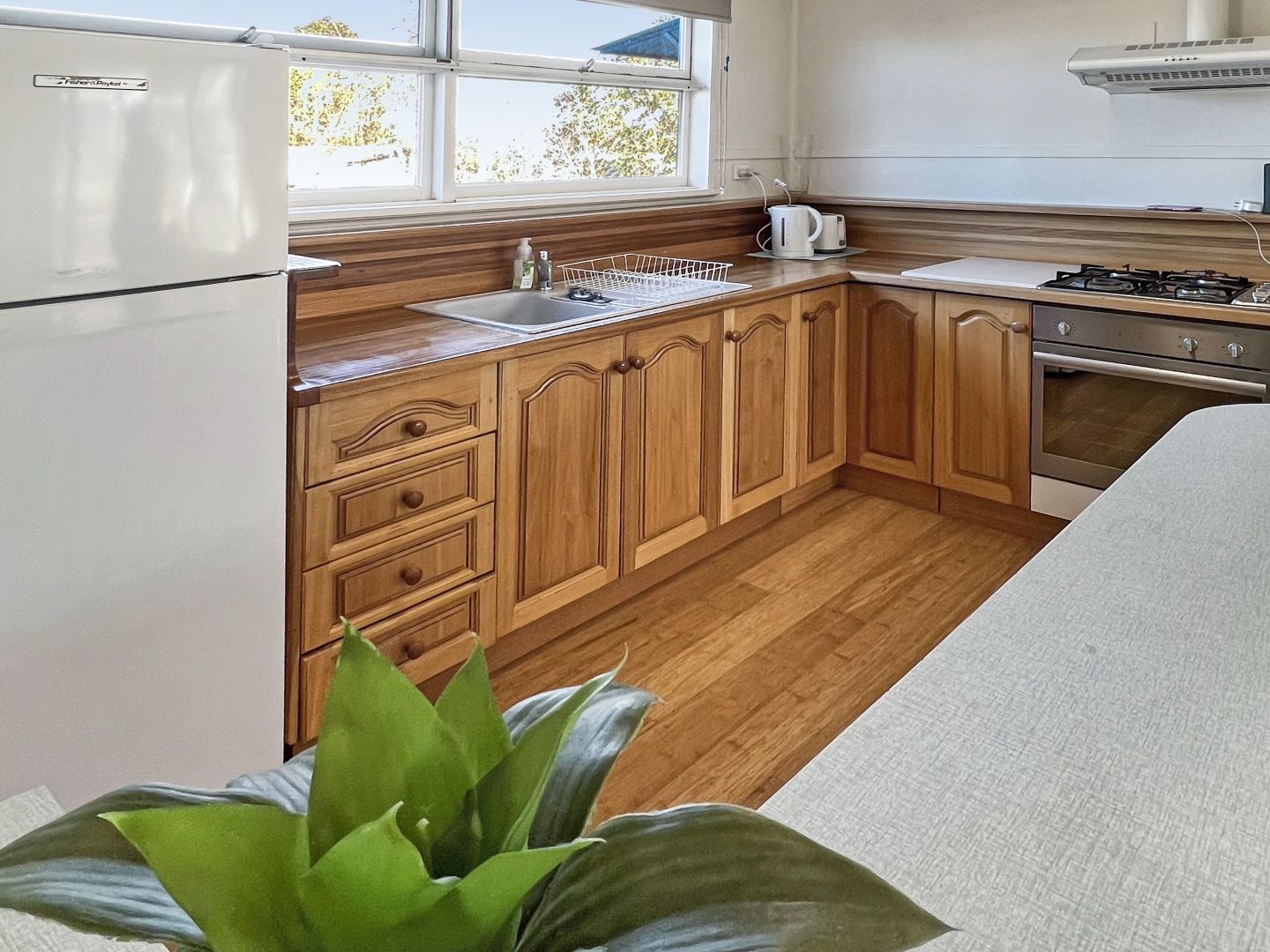 5 Roberson Street, Berridale NSW 2628 House For Rent Domain