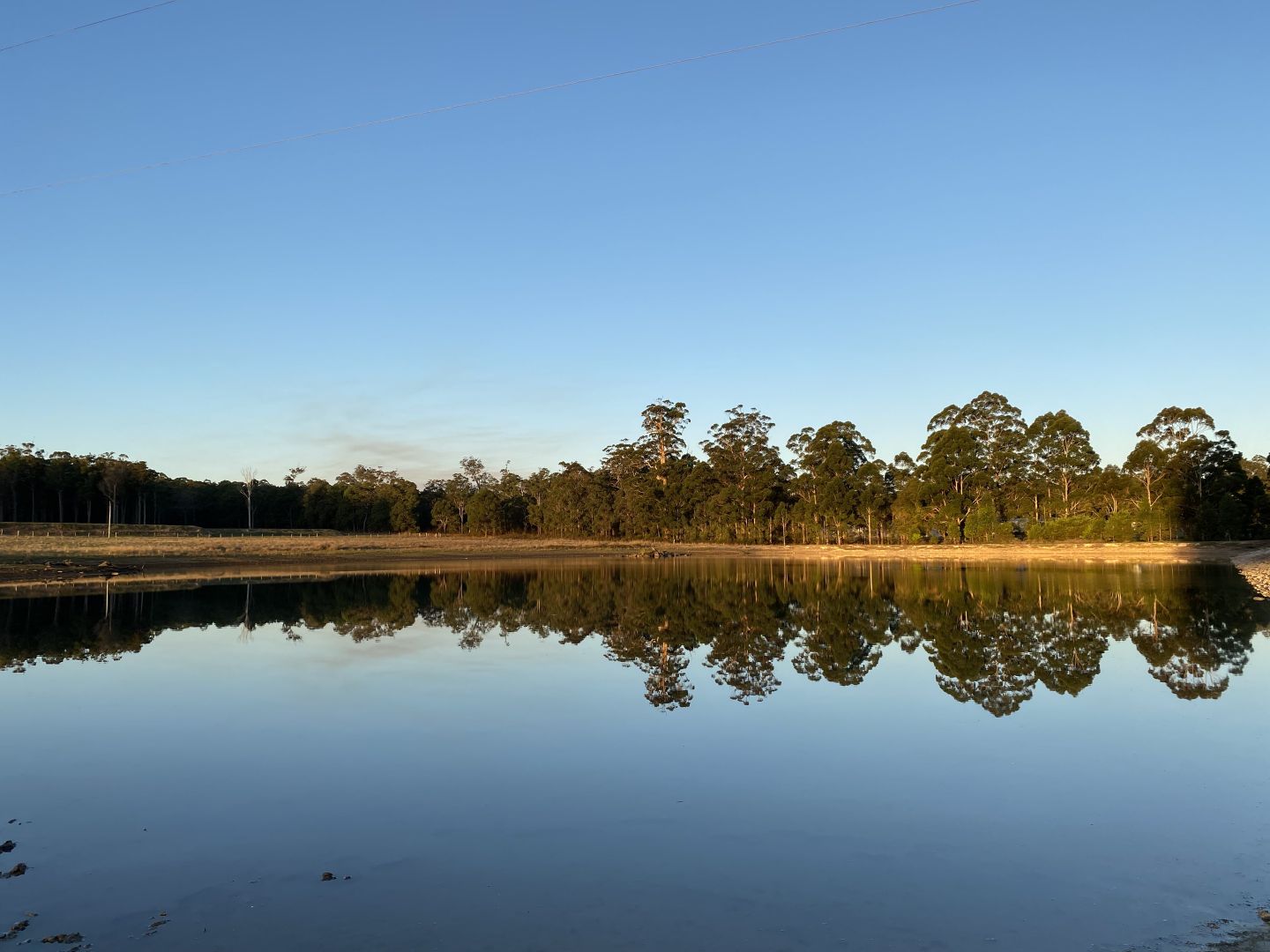 97 Waughs Road (Glenoran), Manjimup WA 6258 Farm for Sale Domain