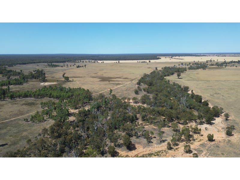 Hazeldean, Gilgandra NSW 2827 House for Sale 2,100,000 Domain