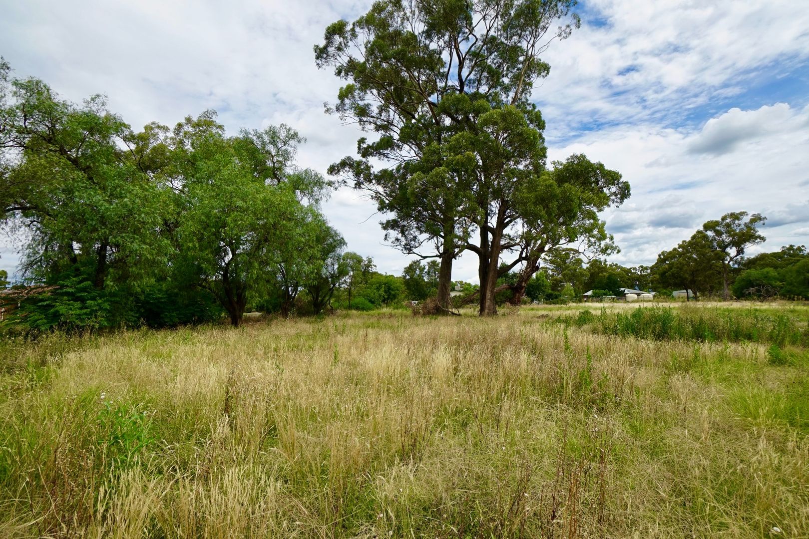 Lot 198 Bank Street, Gooloogong NSW 2805, Image 1