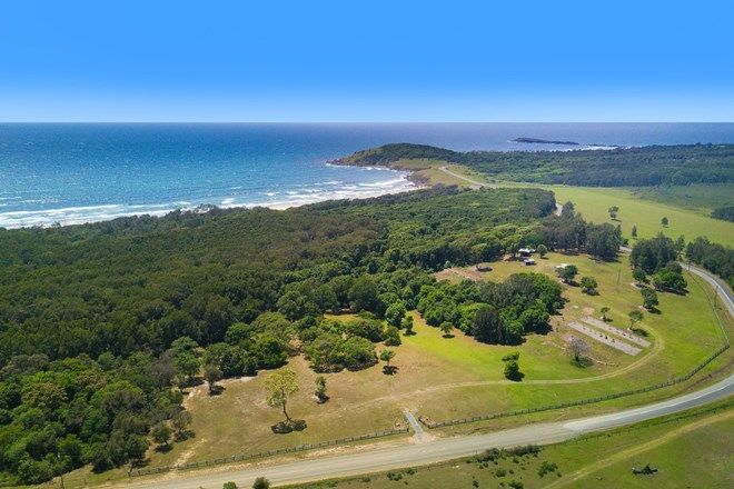 Picture of 711 Point Plomer Road, CRESCENT HEAD NSW 2440