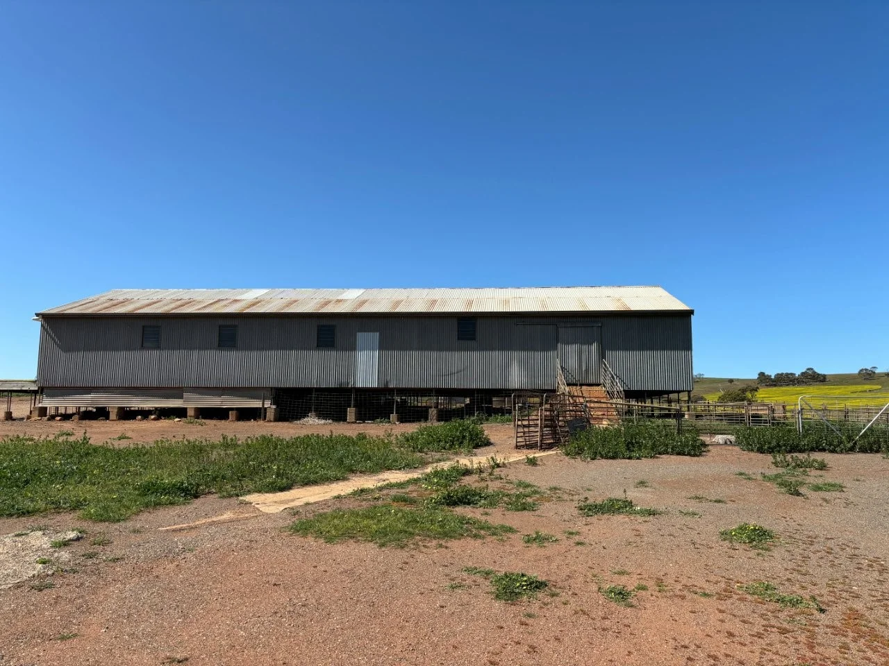 Image 12