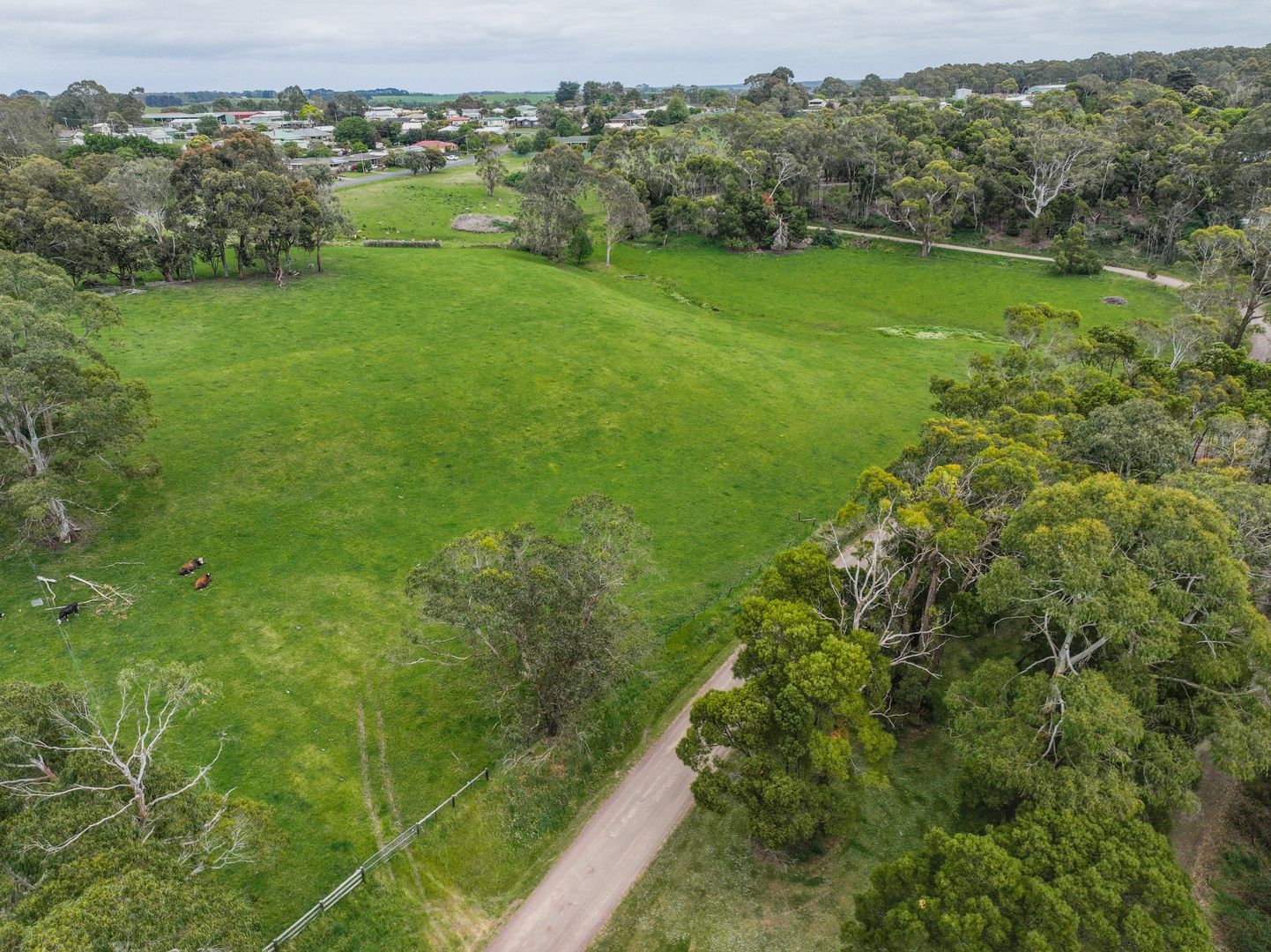1 Snake Track Road, Timboon VIC 3268, Image 1