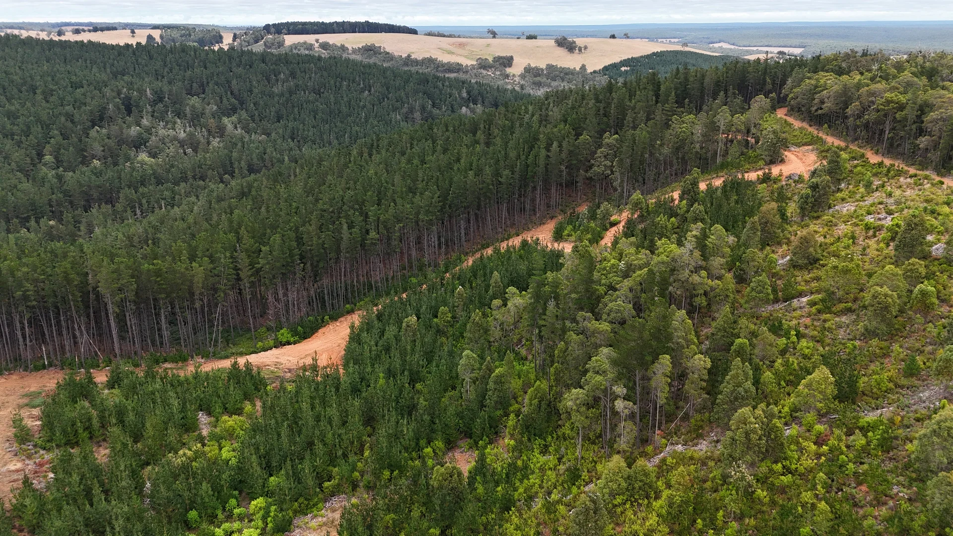 Additional image 9 of Lot 100 Brockman Highway, East Nannup WA 6275